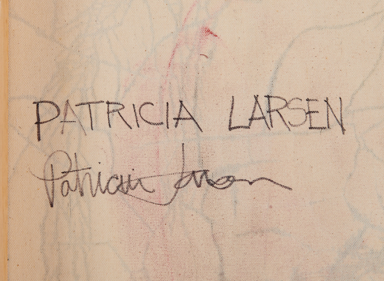 'NIGHT WALK' BY PATRICIA LARSEN